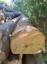 img-20261012-wa0023.jpg