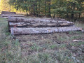 img-20261013-wa0025.jpg