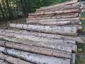 img-20261013-wa0033.jpg
