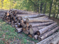 img-20261013-wa0022.jpg