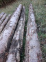 img-20261013-wa0027.jpg