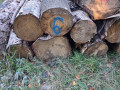 img-20261013-wa0023.jpg