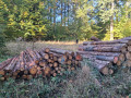img-20261013-wa0026.jpg