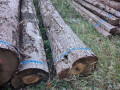 img-20261013-wa0028.jpg