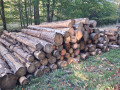 img-20261013-wa0024.jpg