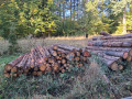 img-20261013-wa0032.jpg