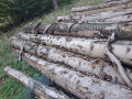 img-20261013-wa0029.jpg