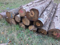 img-20261013-wa0031.jpg