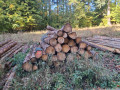 img-20261013-wa0030.jpg