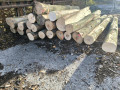 img-20261016-wa0000.jpg