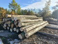 img-20261016-wa0002.jpg