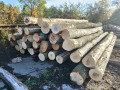 img-20261016-wa0001.jpg