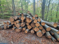 img-20261019-wa0057.jpg