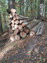 img-20261019-wa0049.jpg