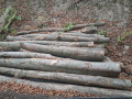 img-20261019-wa0055.jpg