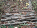 img-20261019-wa0058.jpg
