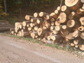 img-20261019-wa0053.jpg