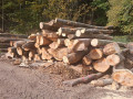 img-20261019-wa0061.jpg