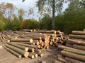 img-20261020-wa0016.jpg