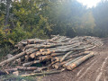 img-20261020-wa0005.jpg