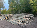 img-20261020-wa0007.jpg