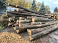 img-20261026-wa0000.jpg