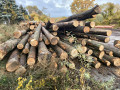img-20261026-wa0004.jpg