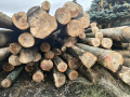 img-20261026-wa0003.jpg