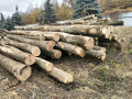 img-20261026-wa0007.jpg