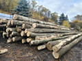img-20261026-wa0002.jpg