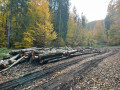 img-20261028-wa0011.jpg