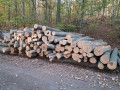 img-20261028-wa0025.jpg
