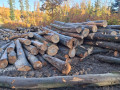 img-20261028-wa0024.jpg