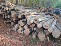 img-20261028-wa0022.jpg