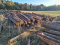img-20261028-wa0018.jpg