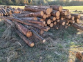 img-20261028-wa0015.jpg