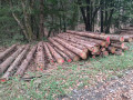 img-20261028-wa0014.jpg