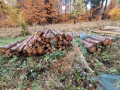 img-20261028-wa0019.jpg