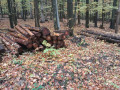 img-20261028-wa0020.jpg