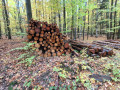 img-20261028-wa0016.jpg