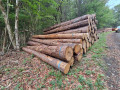 img-20261005-wa0020_1.jpg