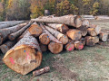 img-20261028-wa0008.jpg