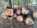 img-20261028-wa0001.jpg