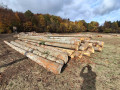 img-20261028-wa0005.jpg