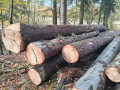 img-20261028-wa0006.jpg
