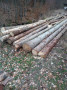 img-20250331-wa0036.jpg