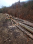 img-20250331-wa0037.jpg