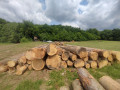 img-20250612-wa0002.jpg