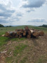 img-20250612-wa0000.jpg
