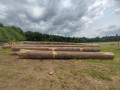 img-20250612-wa0001.jpg